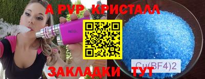 стафф Новокубанск
