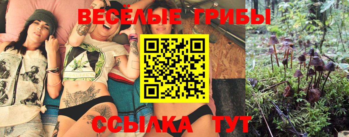 Галлюциногенные грибы прущие грибы Тайшет
