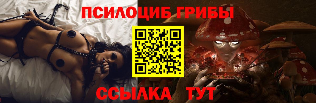 Псилоцибиновые грибы мухоморы  дарнет шоп  Тайшет  Вход с VPN 